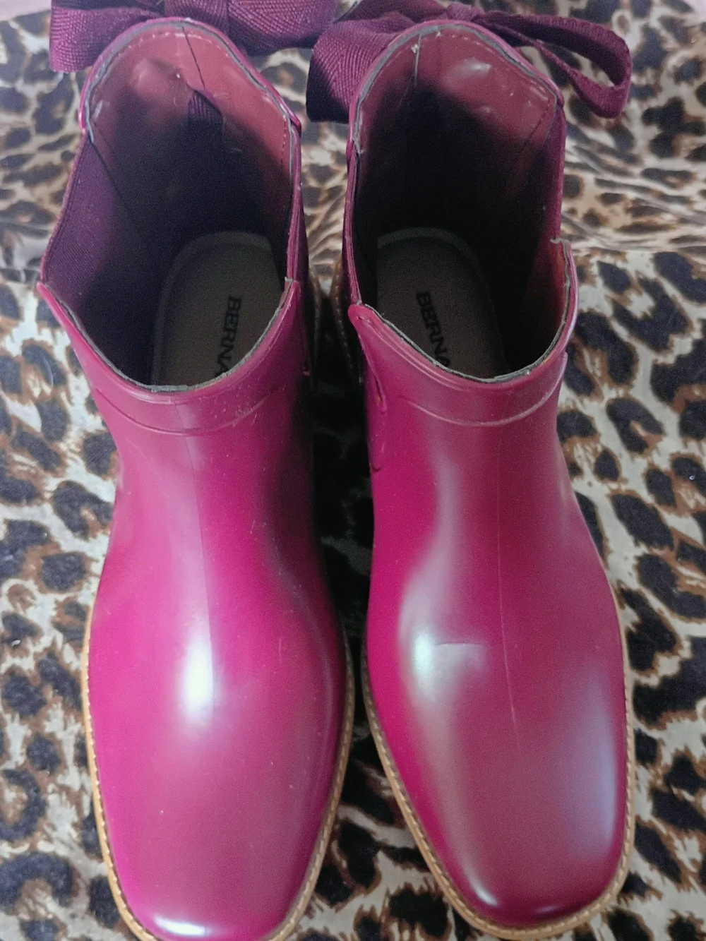 Bernardo stylish women